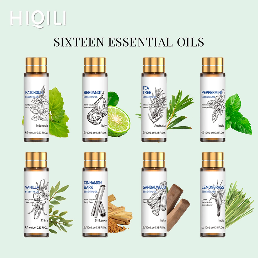 Sanctuary Rituals 16-Piece Pure Essential Oil Set