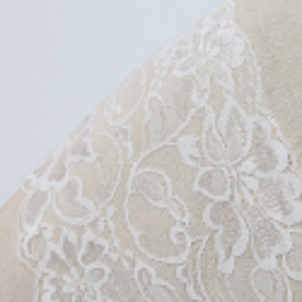 EmpowerEase Floral Lace Sheer Brief – Seamless, Soft & Seductive