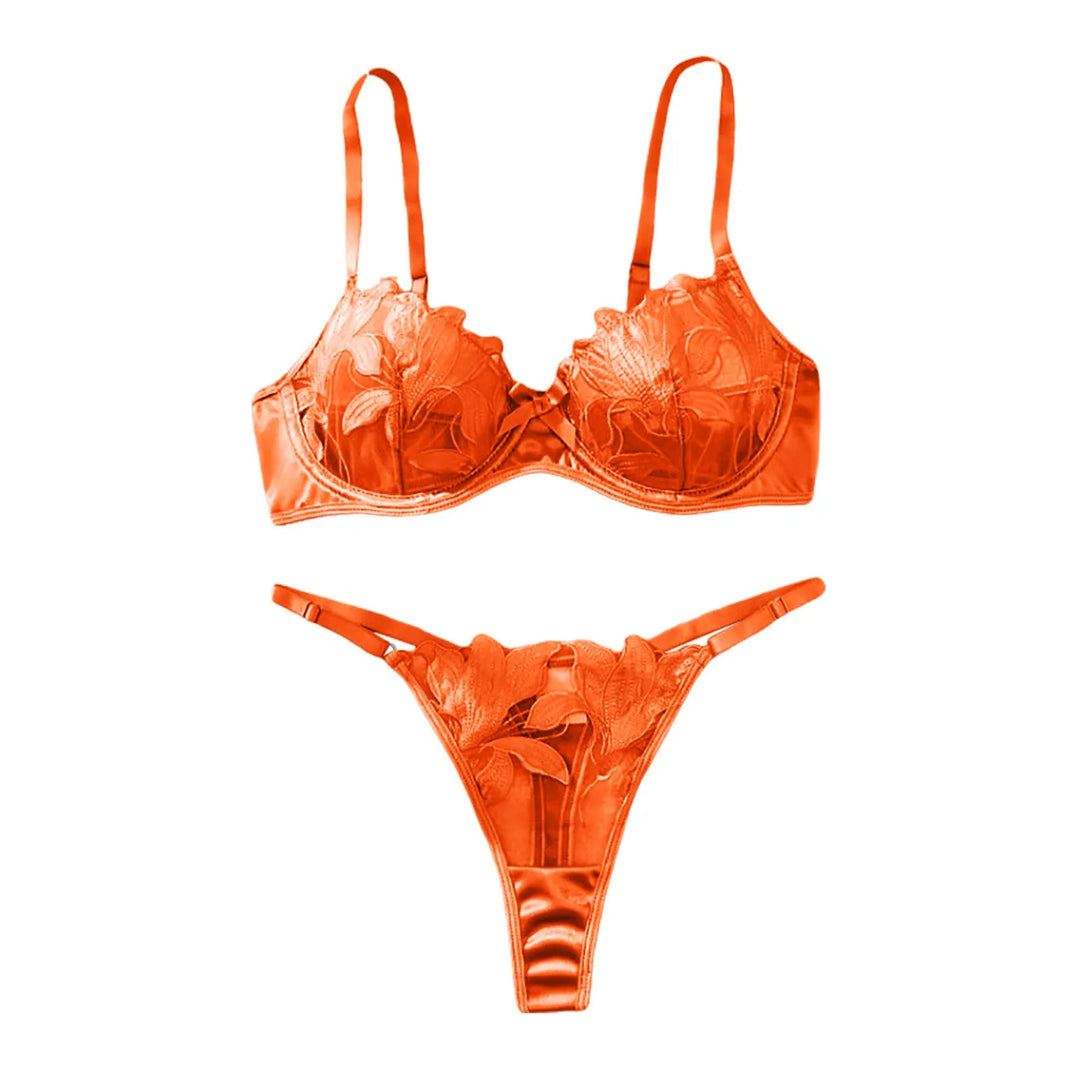 2-Piece Embroidered Lace Lingerie Set – Satin & Mesh Elegance