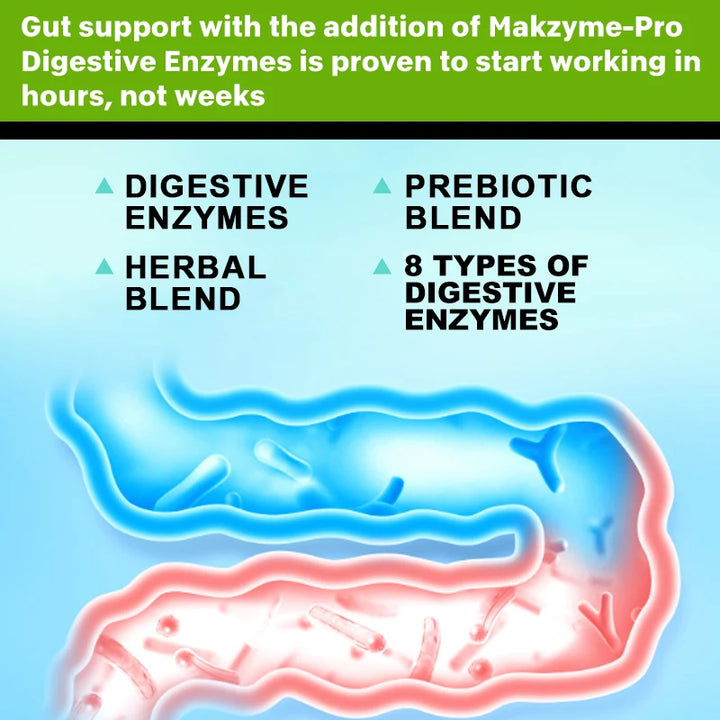 Taoters Digestive Enzyme + Probiotic Complex – 15-Strain Formula, Immune & Digestive Support – 60/120 Capsules