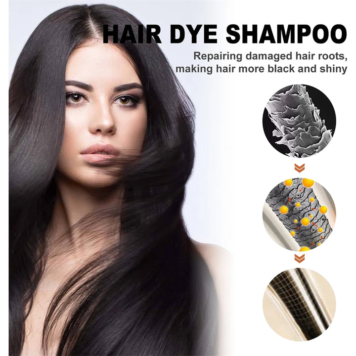 Eelhoe 3-in-1 Black Hair Coloring Shampoo – 2pcs Natural Herbal Polygonum Shampoo for Gray Coverage & Scalp Care (100ml Each)