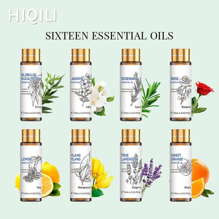 Sanctuary Rituals 16-Piece Pure Essential Oil Set