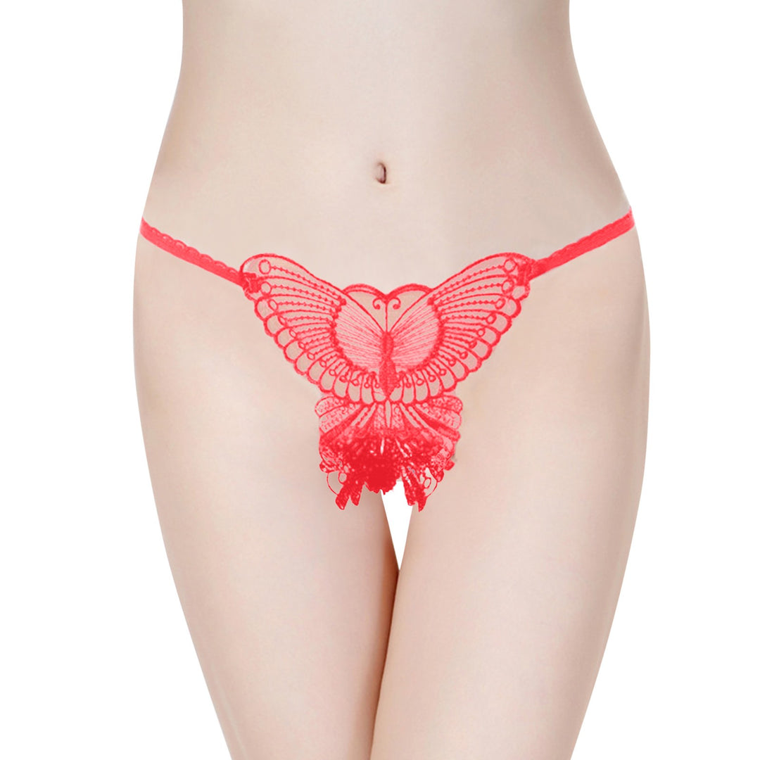 Butterfly Embroidered Open Crotch Panties – Sexy Low Waist Hollow-Out Thong Lingerie