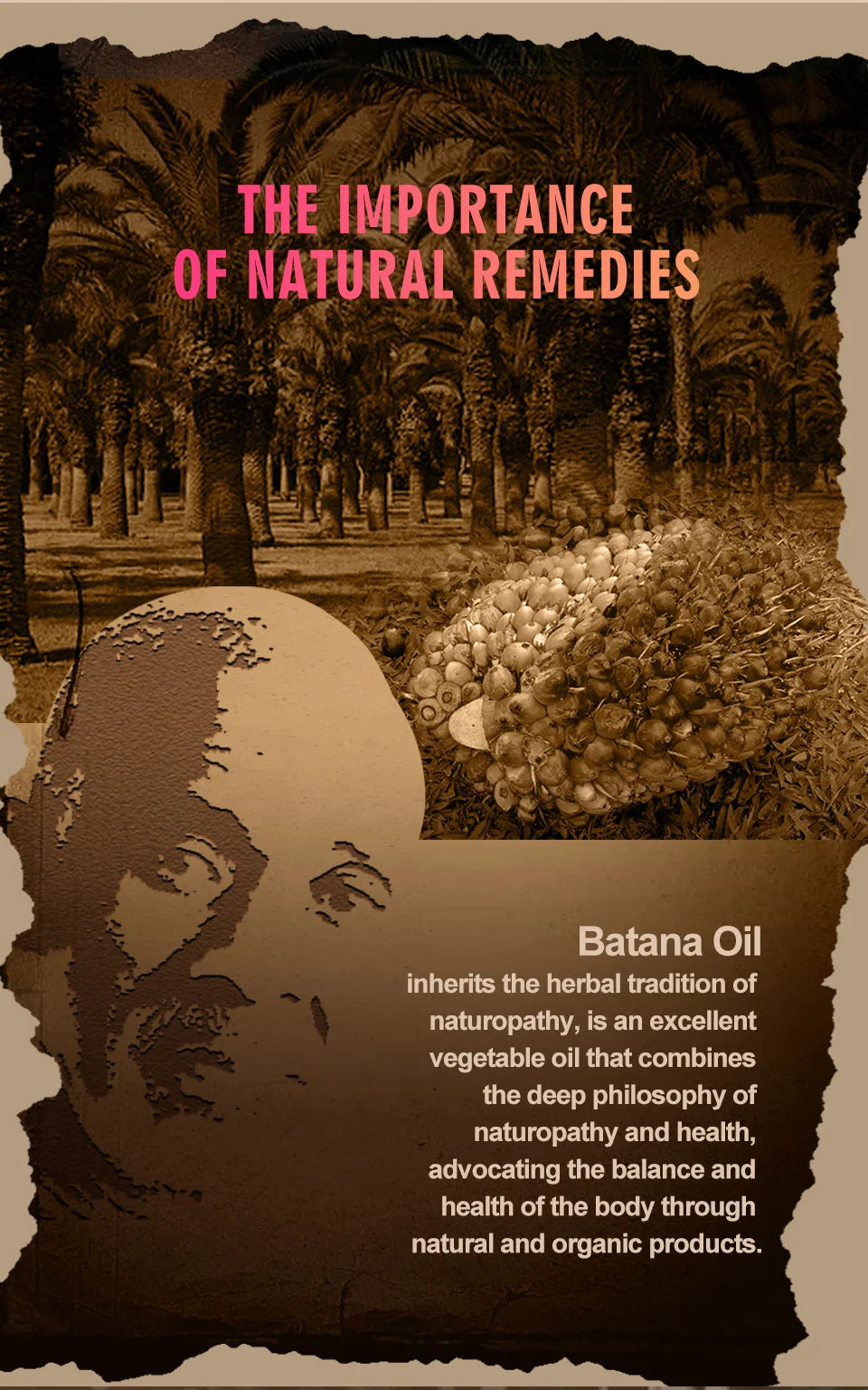 Pure Radiance 100% Organic Batana Oil – Hair Growth & Repair Treatment