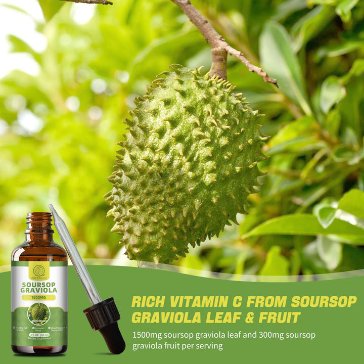 Natural Soursop Graviola Extract Drops – Immunity, Kidney Health & Detox Support (60ml)