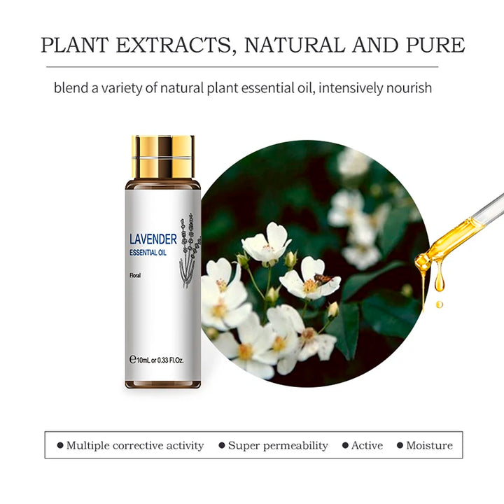 Sanctuary Rituals 16-Piece Pure Essential Oil Set