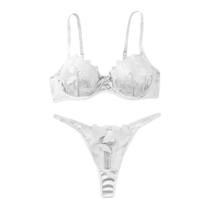 2-Piece Embroidered Lace Lingerie Set – Satin & Mesh Elegance