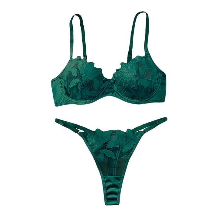 2-Piece Embroidered Lace Lingerie Set – Satin & Mesh Elegance