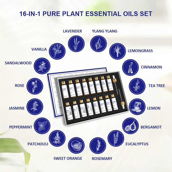 Sanctuary Rituals 16-Piece Pure Essential Oil Set